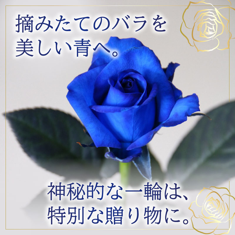 【日時指定可】青バラの花束 誕生日 プレゼント クリスマス ギフト 花束 バラ 青 10本 花 生花 ブーケ 薔薇 ローズ 青い染めバラ 花 お祝い 新発田市 新潟県 G06_01