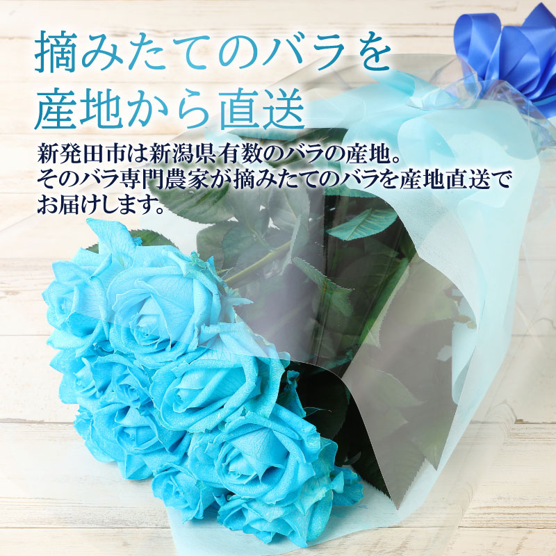 【日時指定可】水色バラの花束 誕生日 プレゼント クリスマス ギフト 花束 バラ 水色 10本 花 生花 ブーケ 薔薇 ローズ 花 お祝い 新発田市 新潟県 G07_01