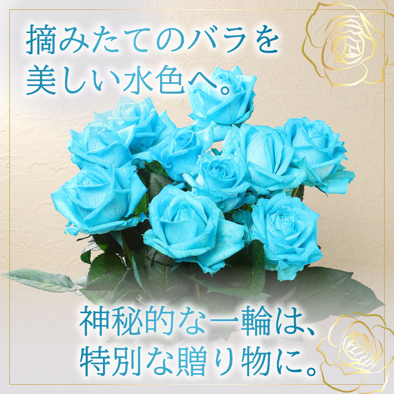 【日時指定可】水色バラの花束 誕生日 プレゼント クリスマス ギフト 花束 バラ 水色 10本 花 生花 ブーケ 薔薇 ローズ 花 お祝い 新発田市 新潟県 G07_01