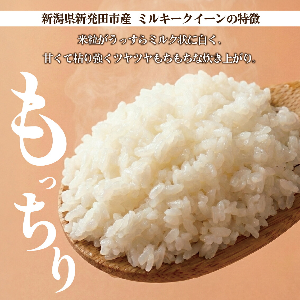 【最短7日発送】 令和8年産 ミルキークイーン 5kg 10kg 20kg ご飯 備蓄 コシヒカリ こしひかりコメ お米 米 こめ 新潟産 新潟米 新潟県 新発田 新発田市 斗伸 toushin015_04P