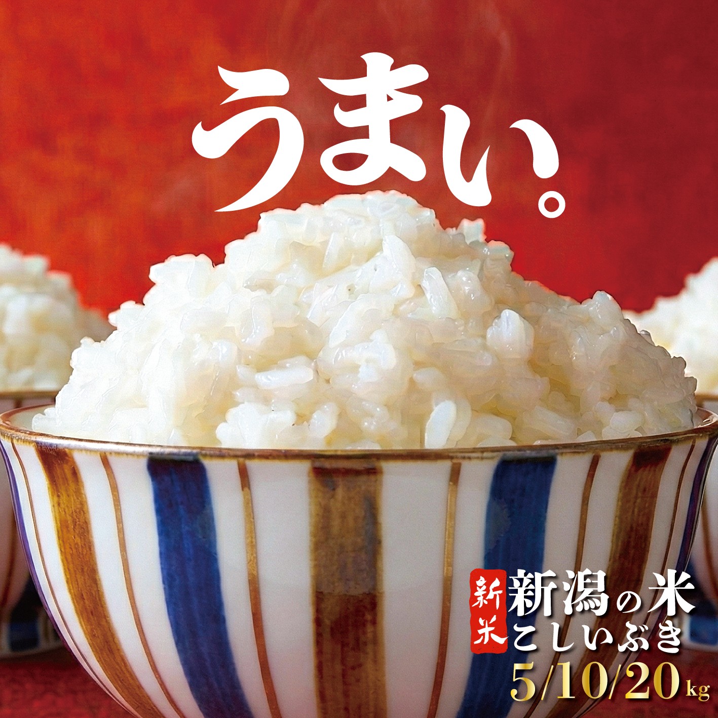 【令和8年産】こしいぶき 5kg 10kg 20kg ご飯 備蓄 コメ お米 米 こめ 新潟産 新潟米 新潟県 新潟 新発田 新発田市 国産 新発田市産 斗伸 toushin061_02P