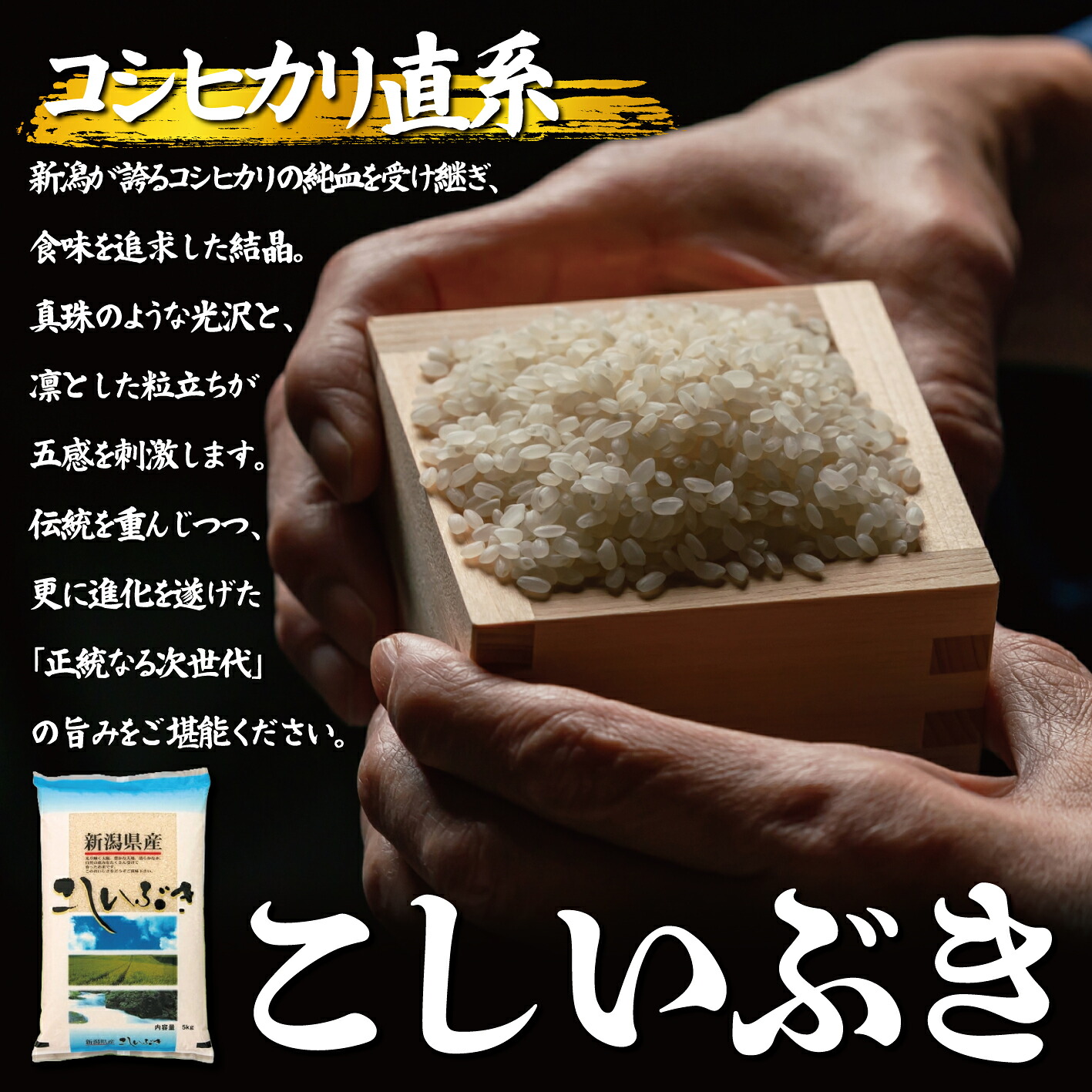 【令和8年産】こしいぶき 5kg 10kg 20kg ご飯 備蓄 コメ お米 米 こめ 新潟産 新潟米 新潟県 新潟 新発田 新発田市 国産 新発田市産 斗伸 toushin061_02P