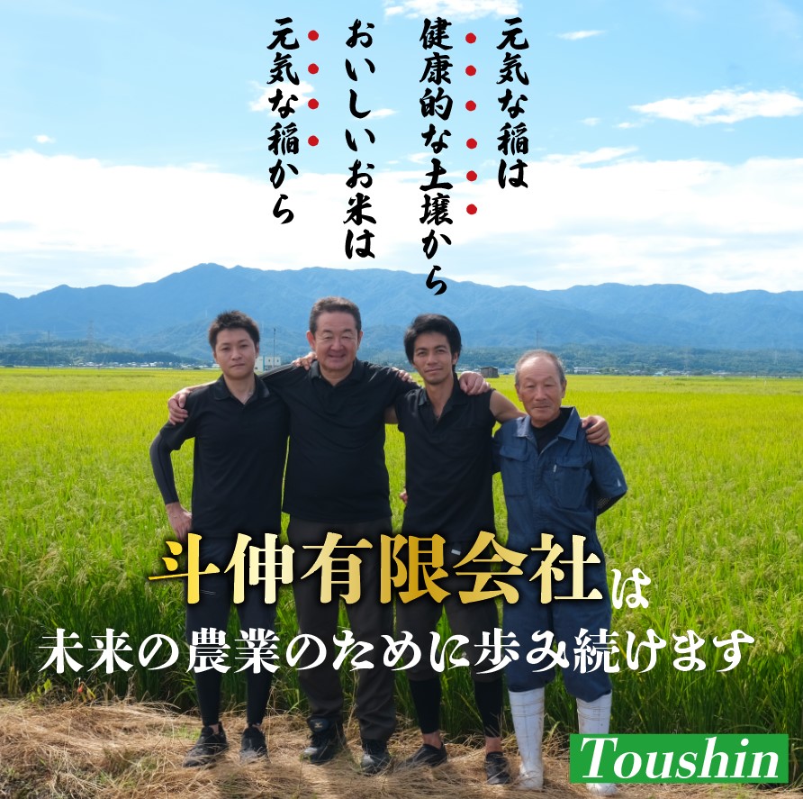 【令和8年産】つきあかり 5kg 10kg 20kg ご飯 備蓄 コメ お米 米 こめ 新潟産 新潟米 新潟県 新潟 新発田 新発田市 国産 新発田市産 斗伸 toushin064_02P