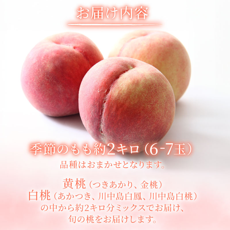 【2027年 先行予約 】 桃 品種おまかせ 約2kg（6~7玉） 果物 もも モモ 白桃 甘い おまかせ フルーツ 高橋農園  新潟県 新発田市 takahashi001