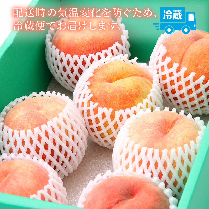 【2027年 先行予約 】 桃 品種おまかせ 約2kg（6~7玉） 果物 もも モモ 白桃 甘い おまかせ フルーツ 高橋農園  新潟県 新発田市 takahashi001