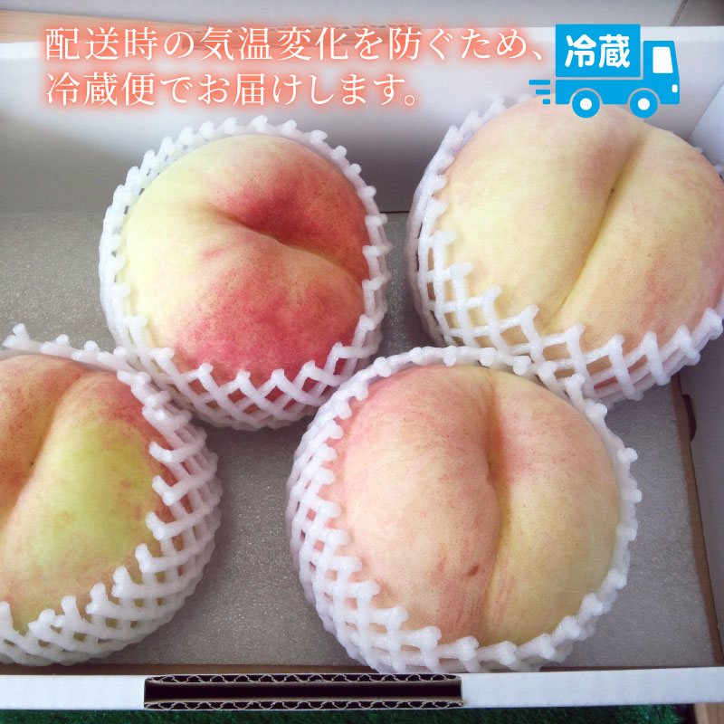 【 先行予約 】 2027年発送 白桃 約2kg（5〜7玉） 果物 もも モモ 白桃 桃 ピーチ 夏 ギフト 贈答 旬 甘い フルーツ 白根白桃 高橋農園  新潟県 新発田市 takahashi002