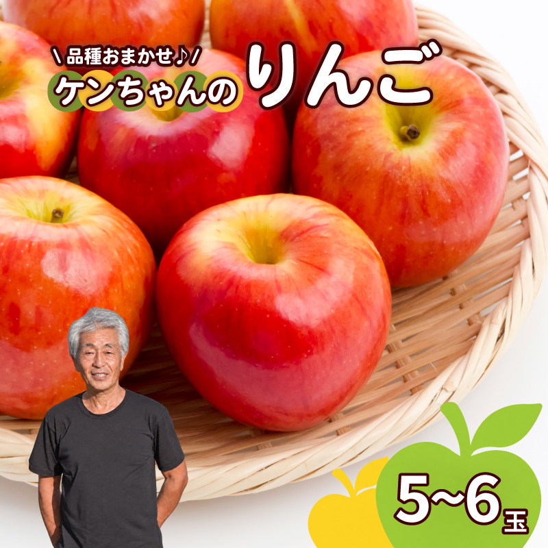 りんご 品種おまかせ 5~6個 約2kg りんご シナノゴールド シナノスイート 林檎 果物 リンゴ 品種 おまかせ アップル 秋 旬 ギフト 贈答 旬 甘い フルーツ くだもの 高橋農園 新潟県 新発田市 takahashi008