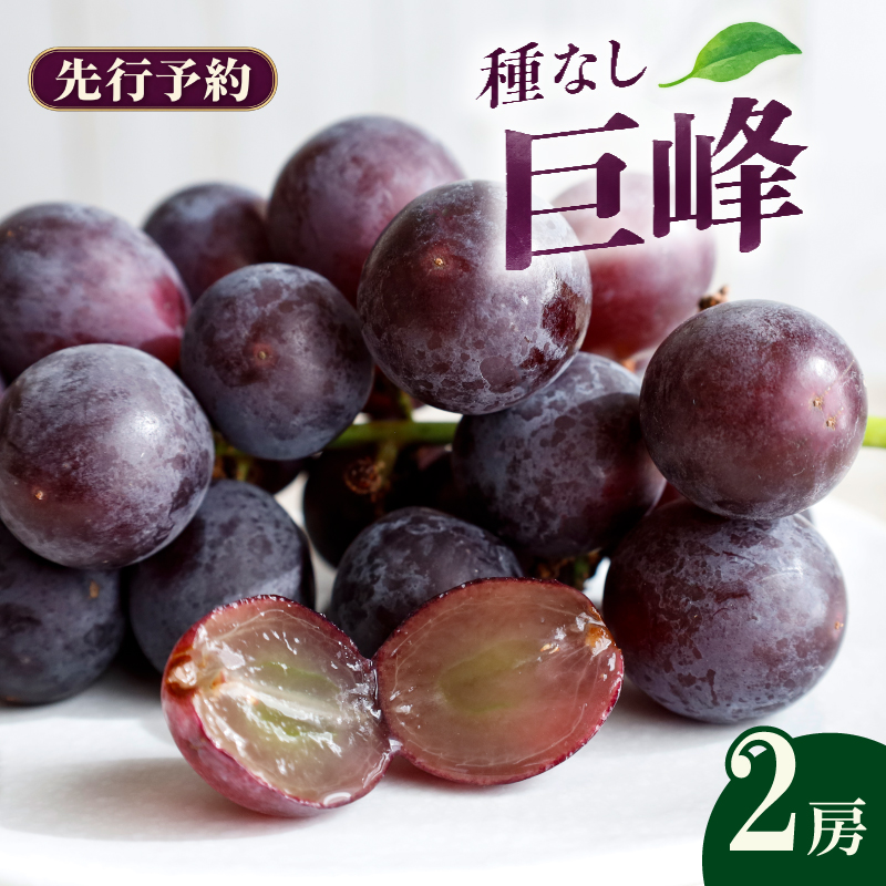 2027年先行予約 巨峰 2房 ぶどう 種なし 冷蔵 果物 旬 おすすめ 贈答 家庭 葡萄 グレープ くだもの フルーツ 葡萄 ブドウ ぶどう マスカット シャイン マスカット 高橋農園 新潟県 新発田市 takahashi009