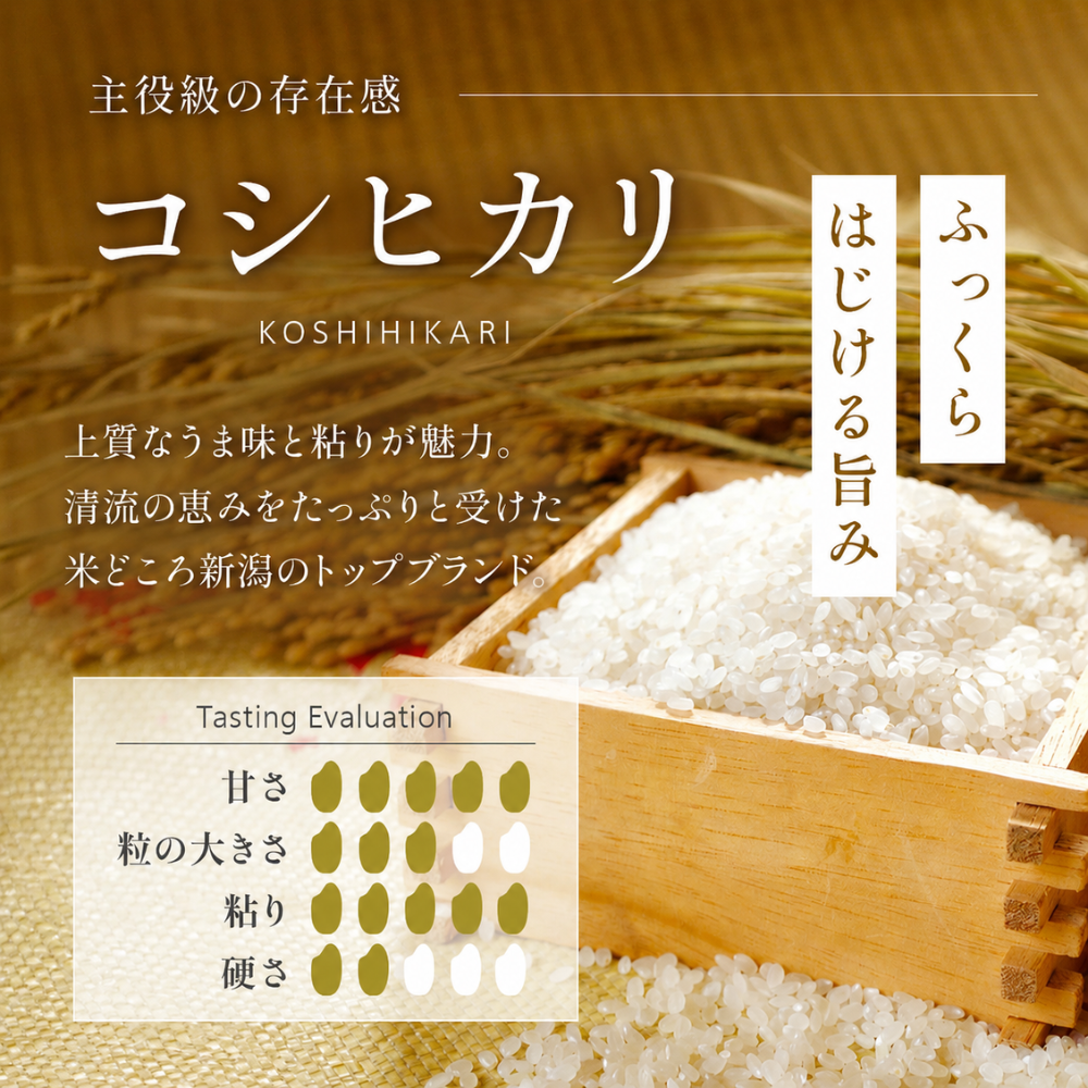 R8年産【精米】新潟県産 コシヒカリ5kg