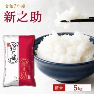 令和7年産 新潟産なんかん米 新之助 精米5kg