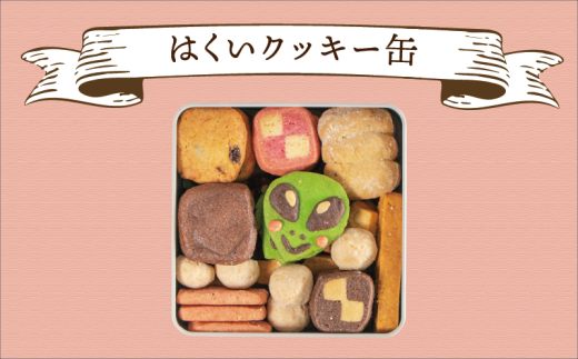 クッキー詰め合わせ 人気 【 10種 48枚 】 個性 クッキー缶 詰め合わせ 焼菓子 セット お菓子 おかし 菓子 洋菓子 おやつ 贈り物 デザート