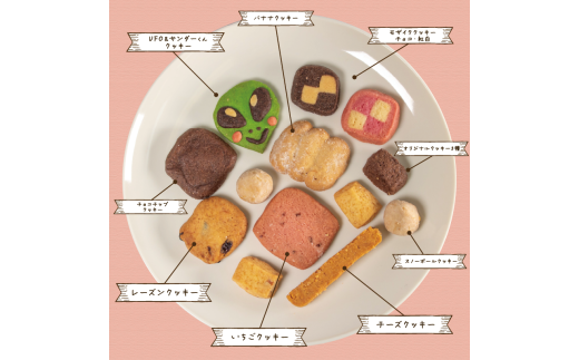 クッキー詰め合わせ 人気 【 10種 48枚 】 個性 クッキー缶 詰め合わせ 焼菓子 セット お菓子 おかし 菓子 洋菓子 おやつ 贈り物 デザート