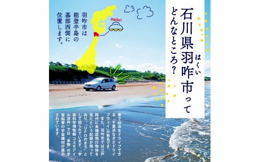 濃厚 ジェラート 牛乳 6個 12個 専門店 一流 こだわり 素材 / ラコルタジェラート 選べる セット 季節 新定番 ソルベ アイス イタリアン 本格 手作り 塩 濃厚 チョコ ピスタチオ グルメ