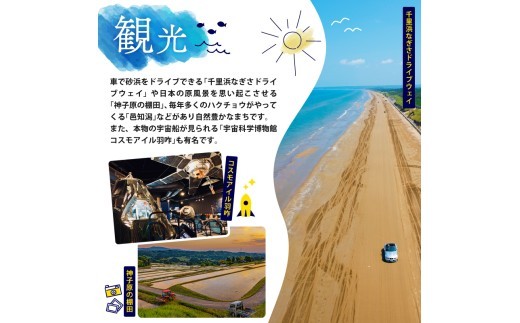【ケーキ】 チーズケーキ バスクチーズケーキ バスク風チーズケーキ ケーキ 18cm チーズケーキ 濃厚 6号 6～8人分 スイーツ ふるさと納税ケーキ とろける 食感 贈り物 ギフト