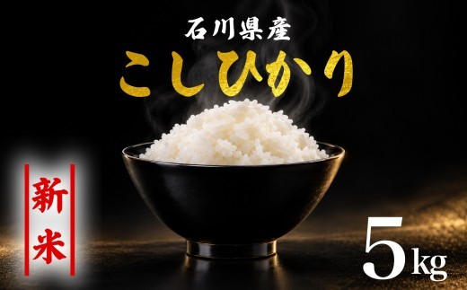 米 5kg 新米予約 先行予約 コシヒカリ 米5kg お米 精米 石川県産 令和8年産 お米 5kg1袋 能登 こしひかり こだわり 石川県産 環境 米 お米 白米 こめ コメ おこめ 米5kg