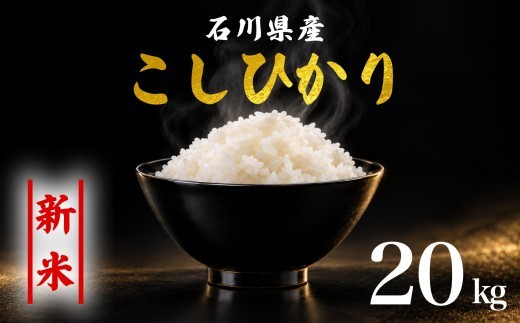 新米予約 先行予約 コシヒカリ 米 20kg お米 精米 石川県産 令和8年産 新米 20kg(5kg×4袋) 能登 こしひかり こだわり 石川県産 環境 米 お米 白米 こめ コメ 米20kg