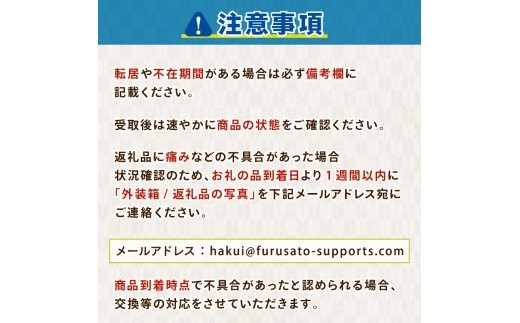 新米予約 先行予約 コシヒカリ 米 20kg お米 精米 石川県産 令和8年産 新米 20kg(5kg×4袋) 能登 こしひかり こだわり 石川県産 環境 米 お米 白米 こめ コメ 米20kg