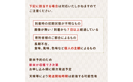 新米予約 先行予約 コシヒカリ 米 20kg お米 精米 石川県産 令和8年産 新米 20kg(5kg×4袋) 能登 こしひかり こだわり 石川県産 環境 米 お米 白米 こめ コメ 米20kg