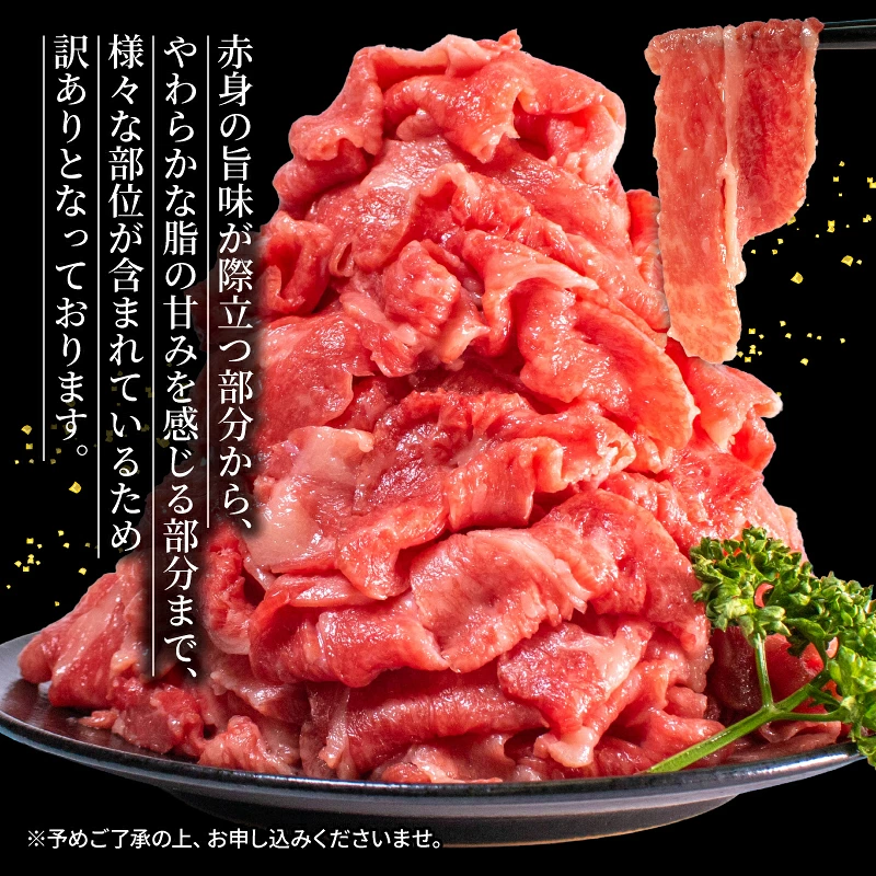 【黒毛和牛】能登牛 切り落とし 1.1kg 牛肉 黒毛和牛 切り落し ギフト プレゼント とろける 食感 HACCP 認定 ブランド和牛 訳あり