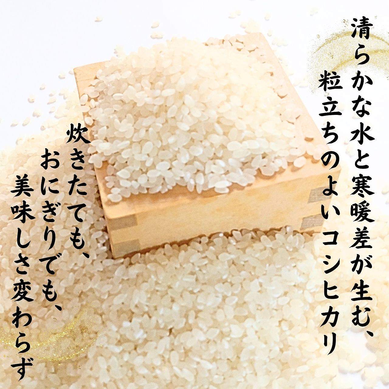 【定期便】【先行予約】のむき風の郷米　コシヒカリ（精米)　5㎏×2袋（ 2ヶ月に1回）（10月から1年間）※2026年10月より順次発送 [A-024006]
