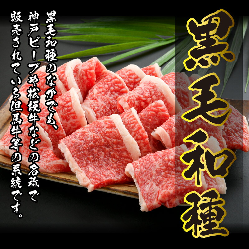 福井県内産若狭牛 やみつき焼肉(300g)  |  焼肉 焼肉用 牛肉 和牛 若狭牛 ブランド牛 国産牛 味付け焼肉 やみつき焼肉 焼肉セット BBQ バーベキュー 高級焼肉 霜降り お試し 少量