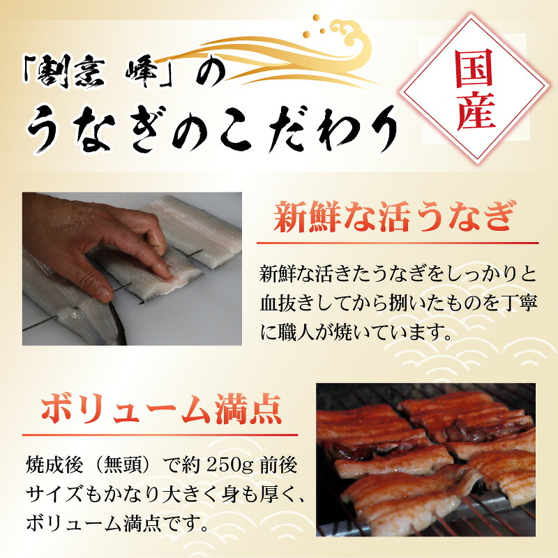 血抜きうなぎの蒲焼(無頭) 焼成後250g前後×1尾 | うなぎ 鰻 蒲焼 国産うなぎ 国産うなぎ蒲焼 無頭うなぎ うなぎ蒲焼き 冷凍うなぎ 長焼き うなぎ1尾 うなぎ250g 大サイズ うなぎギフト