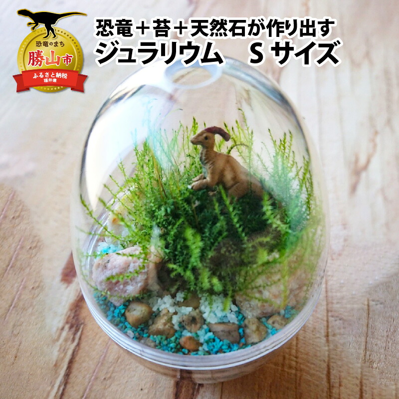 恐竜＋苔＋天然石が作り出す、癒やしの自然空間！ ジュラリウム Sサイズ | テラリウム 苔テラリウム 苔インテリア インテリアグリーン ミニチュアガーデン ジオラマ 恐竜インテリア 恐竜グッズ