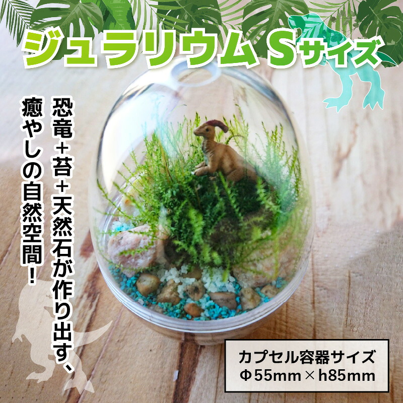 恐竜＋苔＋天然石が作り出す、癒やしの自然空間！ ジュラリウム Sサイズ | テラリウム 苔テラリウム 苔インテリア インテリアグリーン ミニチュアガーデン ジオラマ 恐竜インテリア 恐竜グッズ