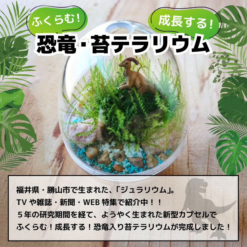 恐竜＋苔＋天然石が作り出す、癒やしの自然空間！ ジュラリウム Sサイズ | テラリウム 苔テラリウム 苔インテリア インテリアグリーン ミニチュアガーデン ジオラマ 恐竜インテリア 恐竜グッズ