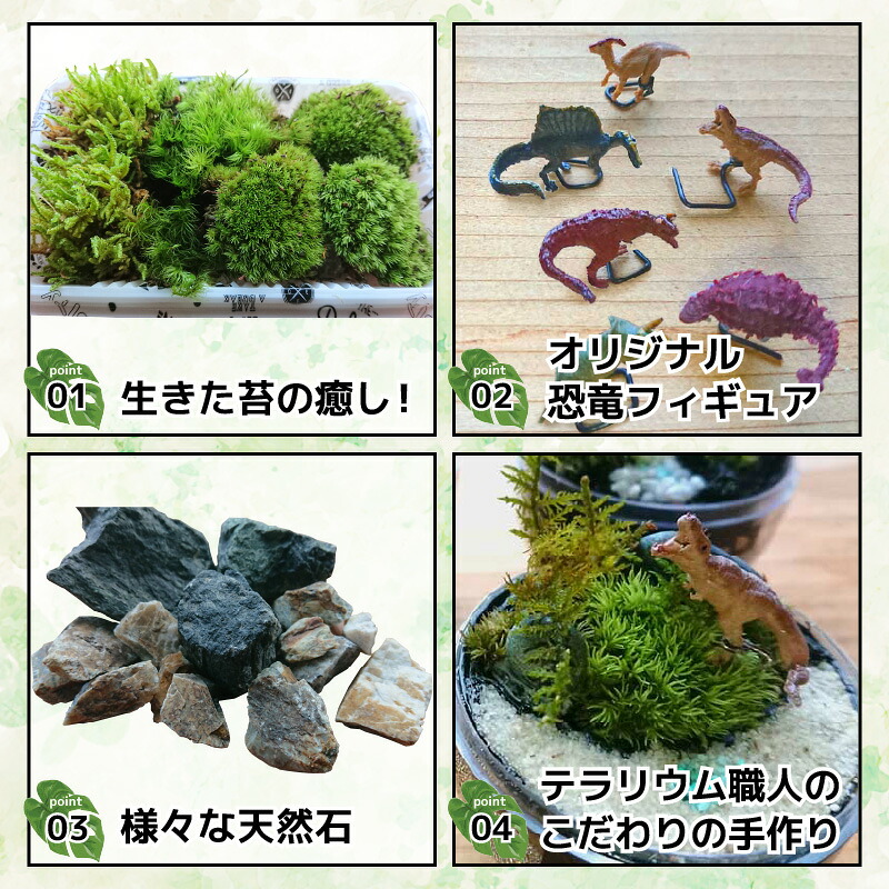 恐竜＋苔＋天然石が作り出す、癒やしの自然空間！ ジュラリウム Sサイズ | テラリウム 苔テラリウム 苔インテリア インテリアグリーン ミニチュアガーデン ジオラマ 恐竜インテリア 恐竜グッズ