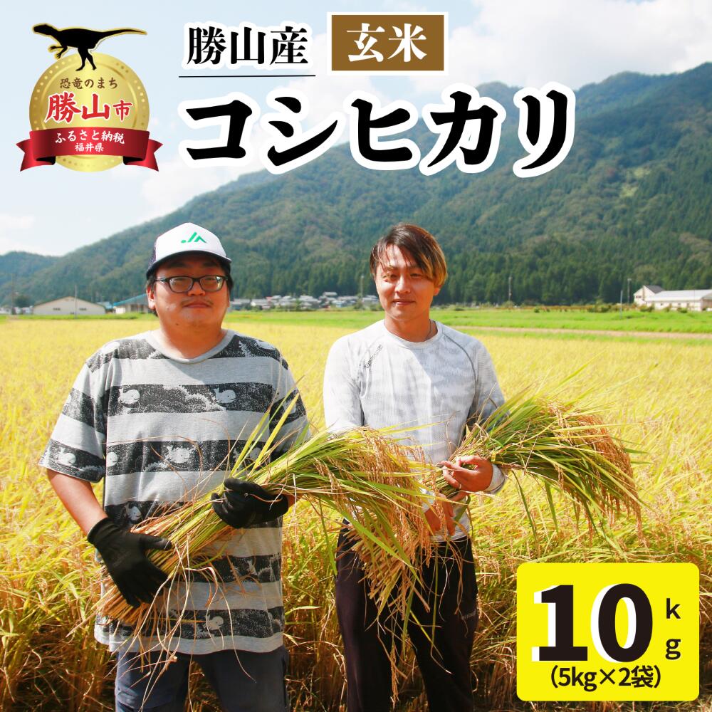 令和6年産 産奥越コシヒカリ5kg ×2袋
