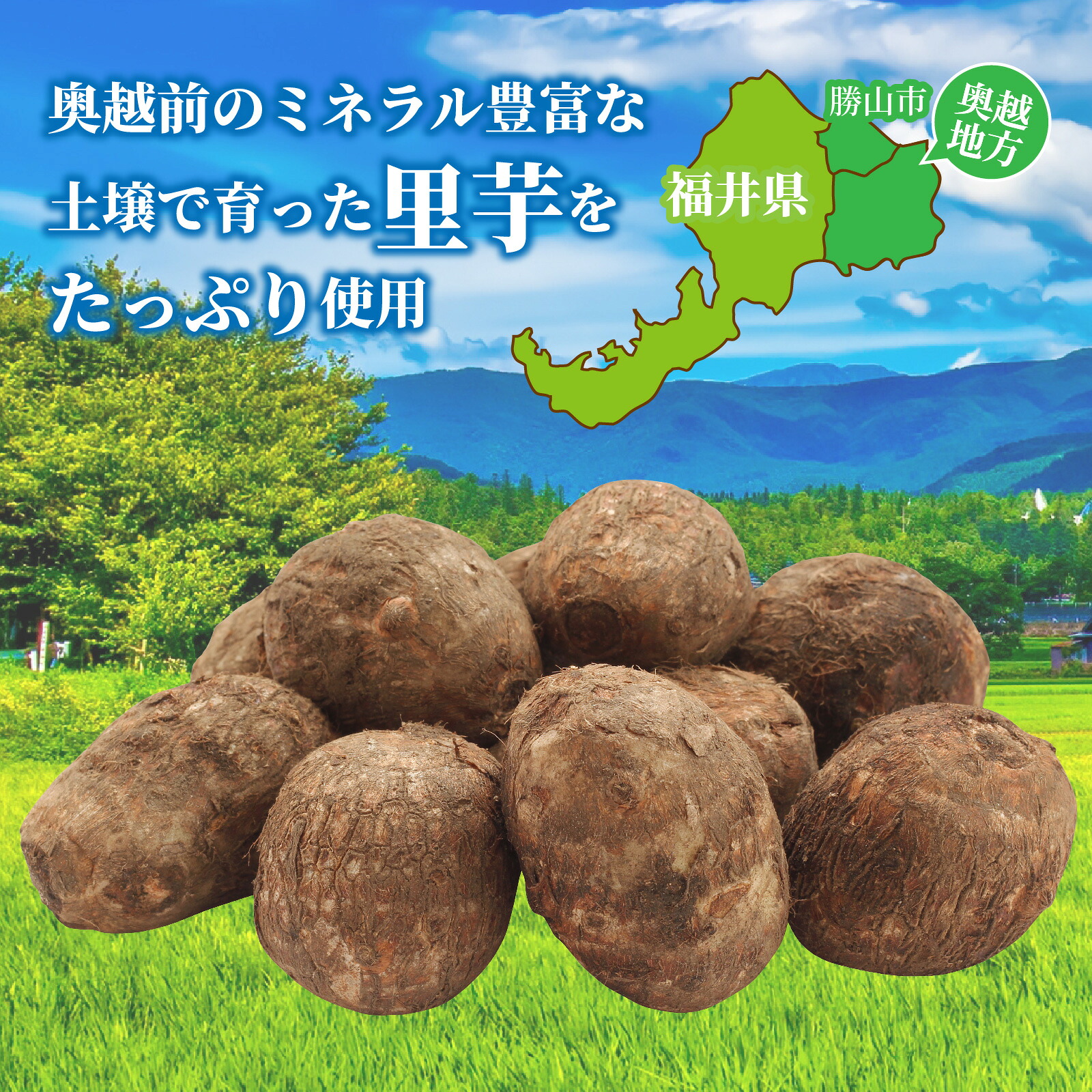 里芋コロッケ（調理済）4個入り×2パック・4パック さといも 【内容量が選べる】 サトイモ 揚げ物 おかず 惣菜 お惣菜 冷凍