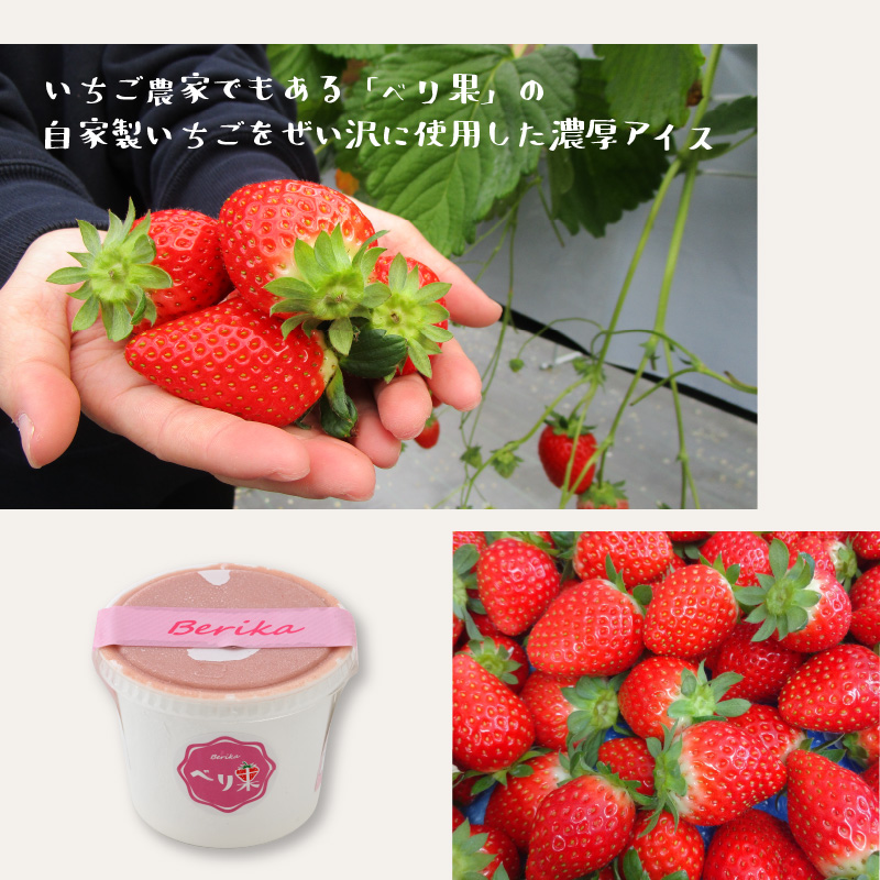 自家製カップいちごアイス 12個 | アイス アイスクリーム カップアイス いちごアイス ストロベリーアイス 自家製アイス 牧場アイス ミルクアイス ジャージー牛乳 ジャージー乳 濃厚アイス 苺