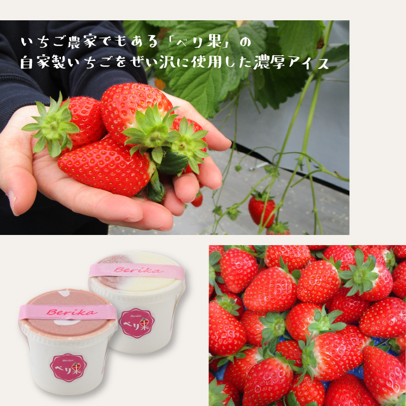 自家製カップアイス2種セット（いちご 6個 & みっくす 6個） | アイス アイスクリーム カップアイス 自家製アイス 牧場アイス ミルクアイス いちごアイス ストロベリーアイス ミックスアイス