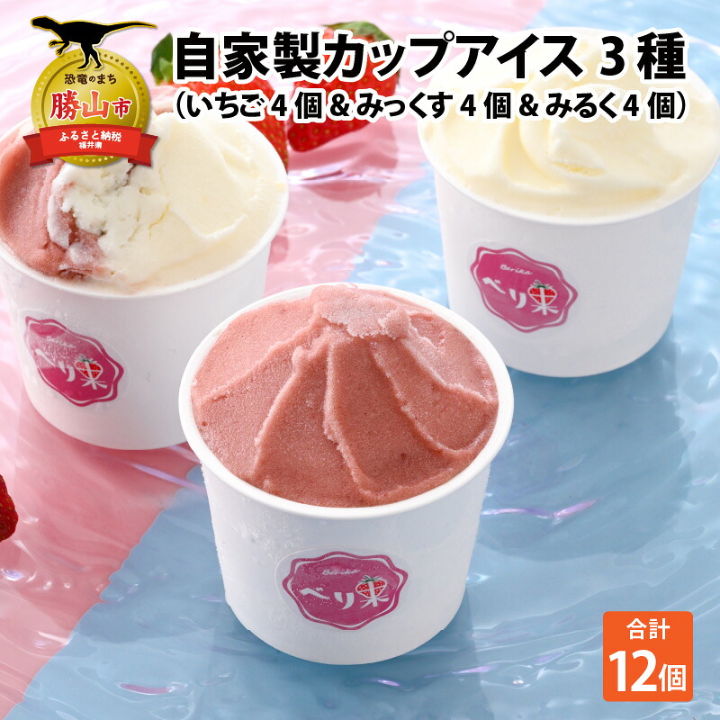 自家製カップアイス3種セット いちご 4個