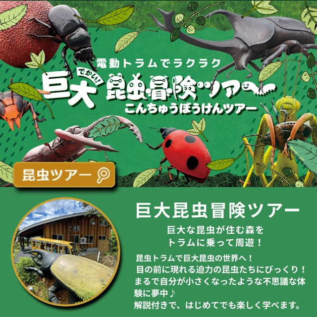 【ふるさと納税】かつやまディノパーク＋巨大昆虫冒険ツアーセットチケット(1名様分) | ディノパーク 恐竜パーク 恐竜アトラクション チケット 入場券 体験チケット 恐竜 恐竜の街 勝山市 福井県