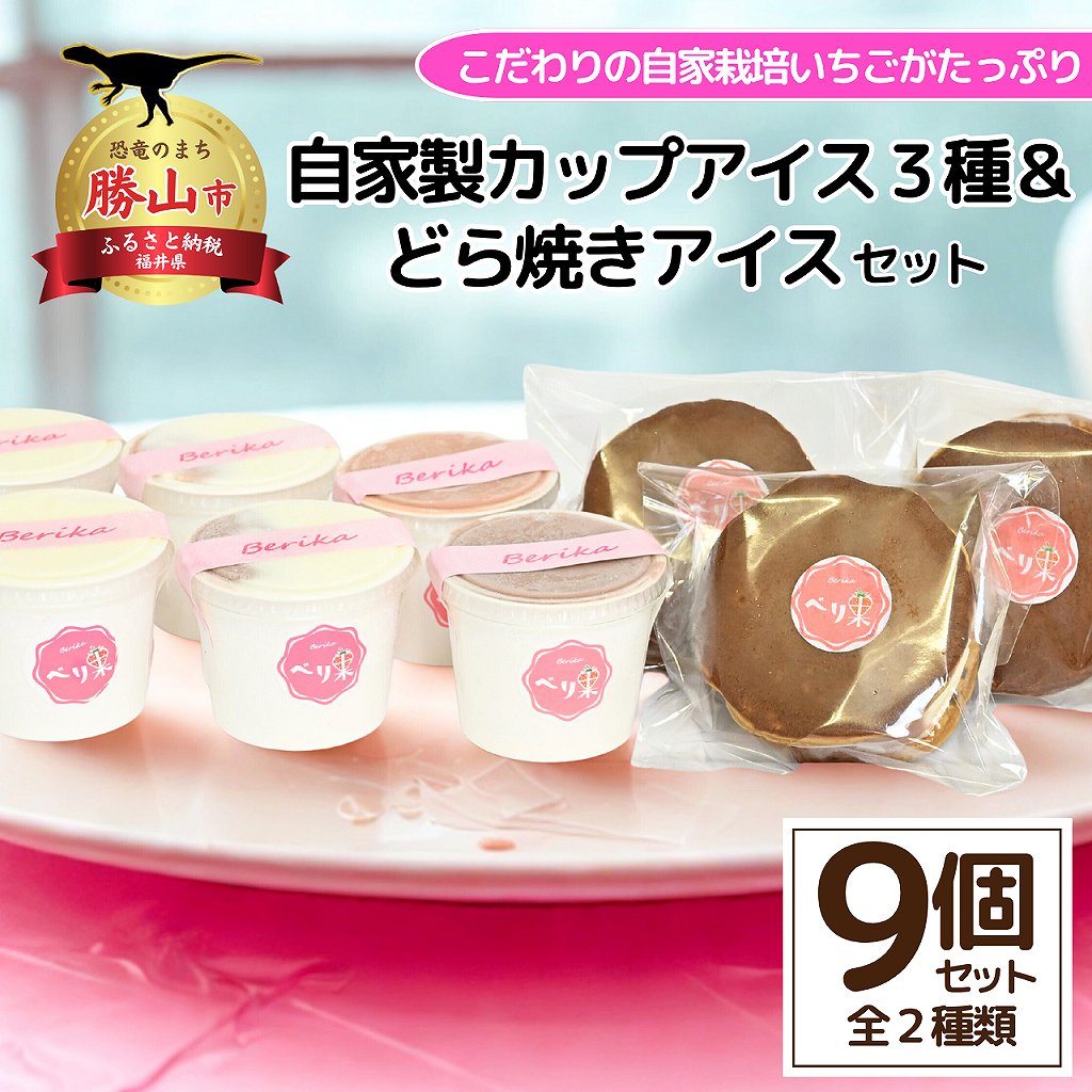 自家製カップアイス3種+どら焼きアイスセット