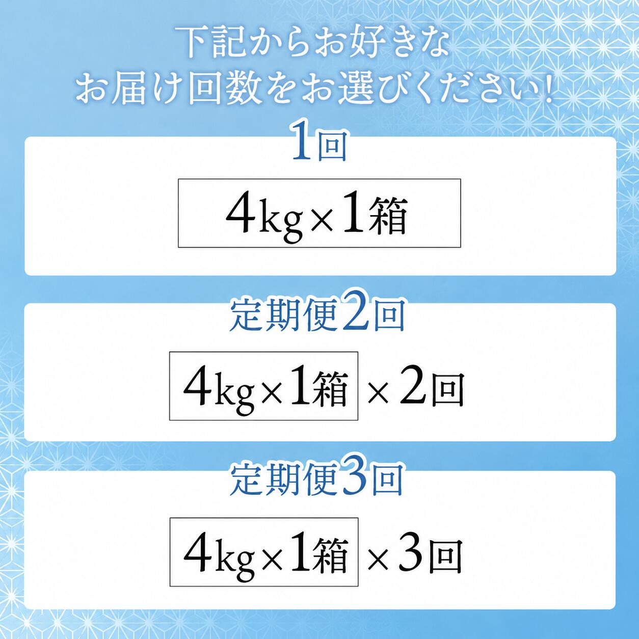 悪臭対策洗剤 悪臭-akushu- 一刀両断 4kg 定期便対応可能 ｜ 洗濯洗剤 高級洗剤 におい対策 ユニフォーム 作業着 仕事着 4キロ