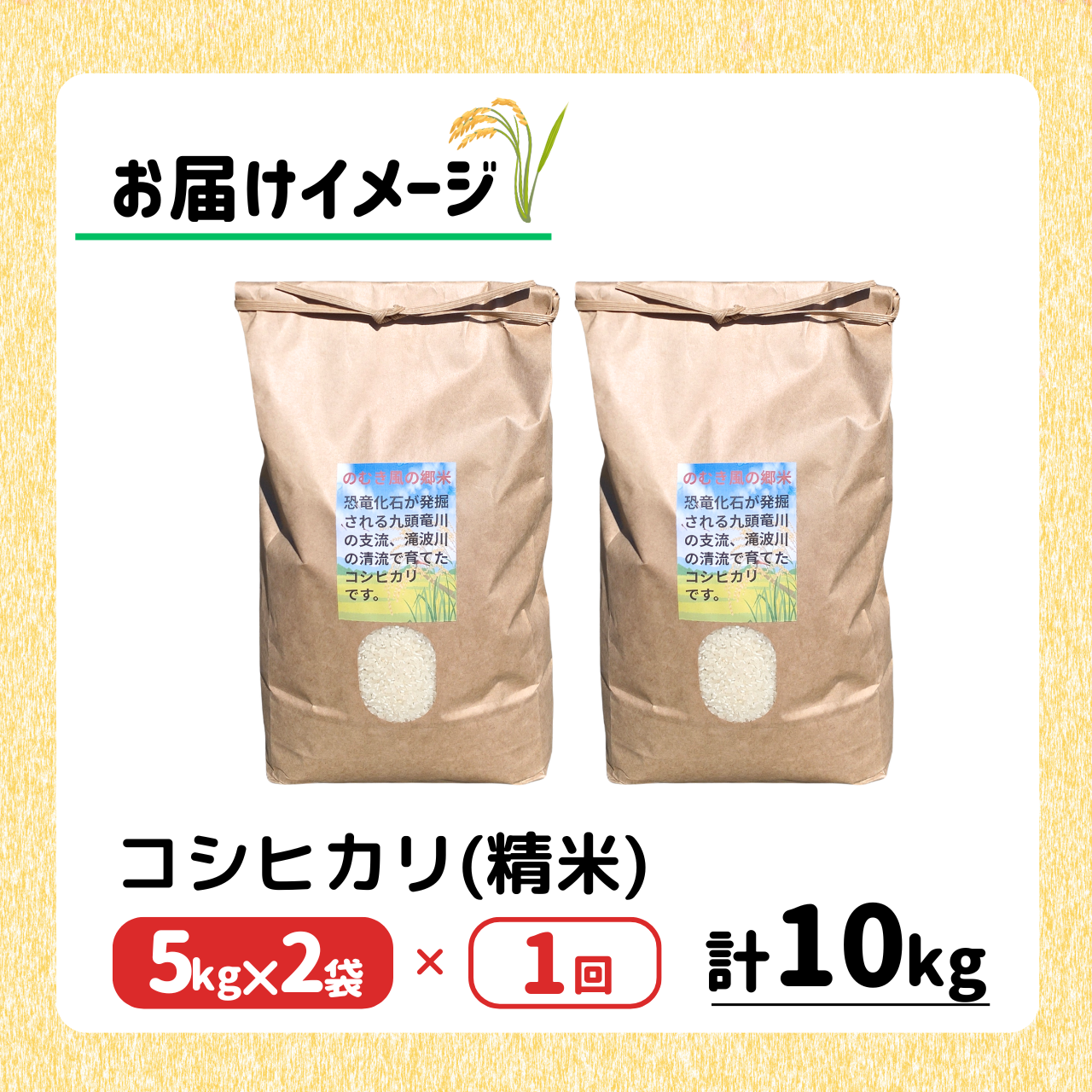 【数量限定】【先行予約】令和8年 のむき風の郷米(コシヒカリ精米)5kg×2袋（10kg）※2026年10月上旬以降順次発送 ｜ ブランド米 米 ごはん コシヒカリ 5kg 2袋 国産 おすすめ 人気 福井県 勝山市