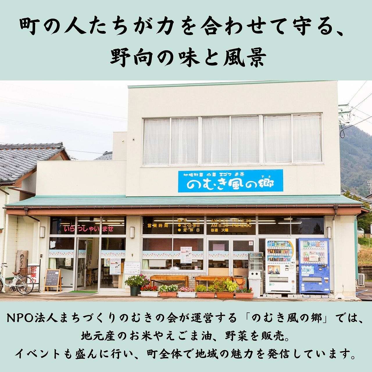 【数量限定】【先行予約】令和8年 のむき風の郷米(コシヒカリ精米)5kg×2袋（10kg）※2026年10月上旬以降順次発送 ｜ ブランド米 米 ごはん コシヒカリ 5kg 2袋 国産 おすすめ 人気 福井県 勝山市