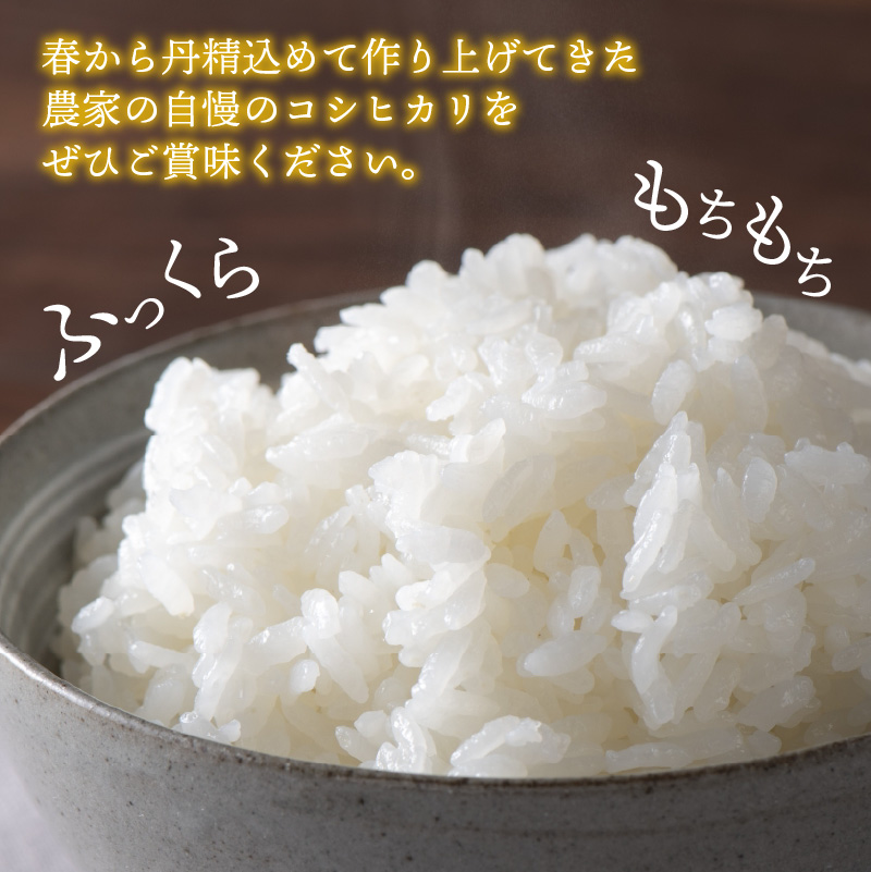 【先行予約】白山の恵み 令和8年度産 新米 コシヒカリ精米（10kg）|  米 コシヒカリ 新米 白米 精米 令和8年産 福井県産 福井県 勝山市 白山の恵み ブランド米 国産米 お米 10kg