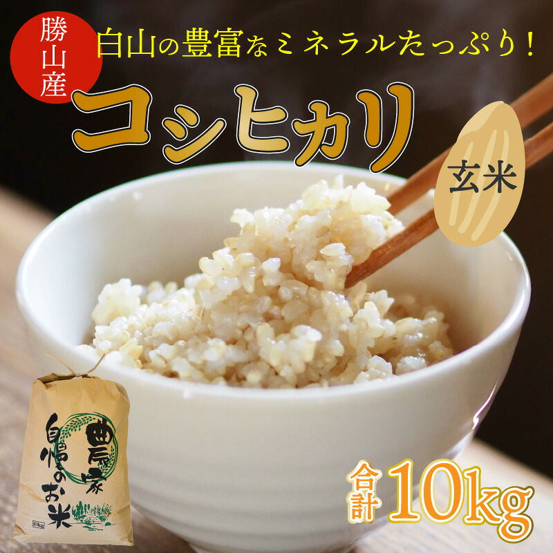 【先行予約】白山の恵み 令和8年度産 新米 コシヒカリ玄米（10kg）| 米 玄米 コシヒカリ 新米 令和8年産 福井県産 福井県 勝山市 白山の恵み ブランド米 国産米 お米 10kg 玄米