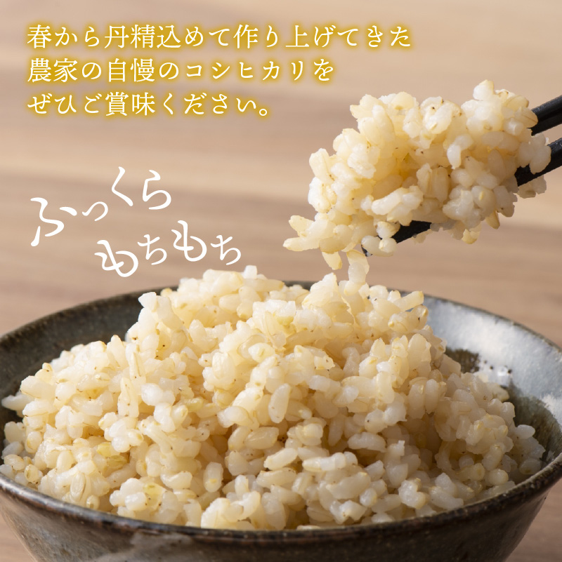 【先行予約】白山の恵み 令和8年度産 新米 コシヒカリ玄米（10kg）| 米 玄米 コシヒカリ 新米 令和8年産 福井県産 福井県 勝山市 白山の恵み ブランド米 国産米 お米 10kg 玄米