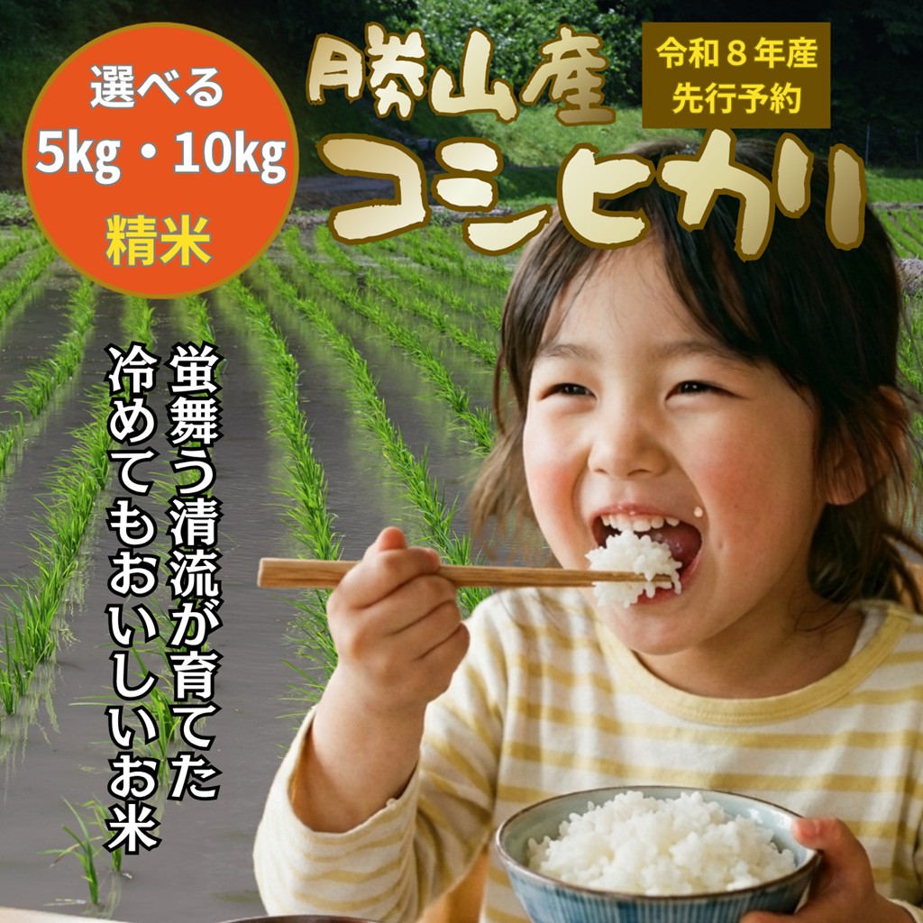 【先行予約】令和8年産 コシヒカリ 精米 容量選べる5kg・10kg※2026年10月上旬より順次発送予定│コシヒカリ 精米 容量選べる 福井県 勝山市 鹿谷町産 白山水系 清流米 一等米 冷めてもおいしい米