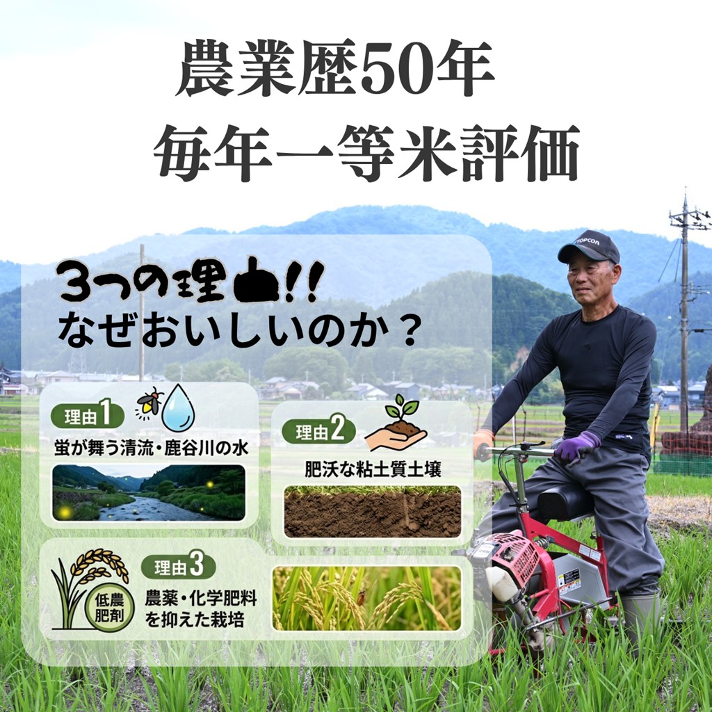 【先行予約】令和8年産 コシヒカリ 精米 容量選べる5kg・10kg※2026年10月上旬より順次発送予定│コシヒカリ 精米 容量選べる 福井県 勝山市 鹿谷町産 白山水系 清流米 一等米 冷めてもおいしい米