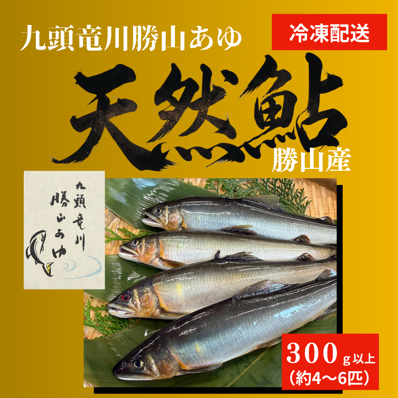 勝山市　九頭竜川産天然鮎　300ｇ（瞬間冷凍） 川魚 魚介 あゆ お取り寄せグルメ 塩焼き 鮎田楽 お中元 お歳暮[A-001011]