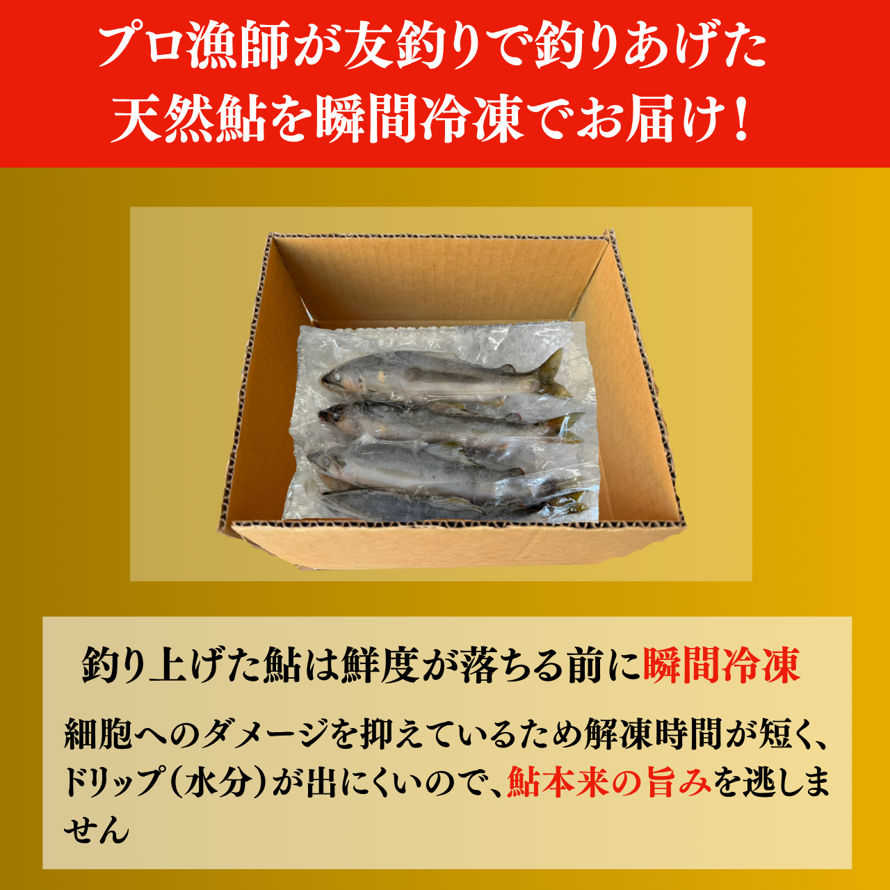 勝山市　九頭竜川産天然鮎　300ｇ（瞬間冷凍） 川魚 魚介 あゆ お取り寄せグルメ 塩焼き 鮎田楽 お中元 お歳暮[A-001011]