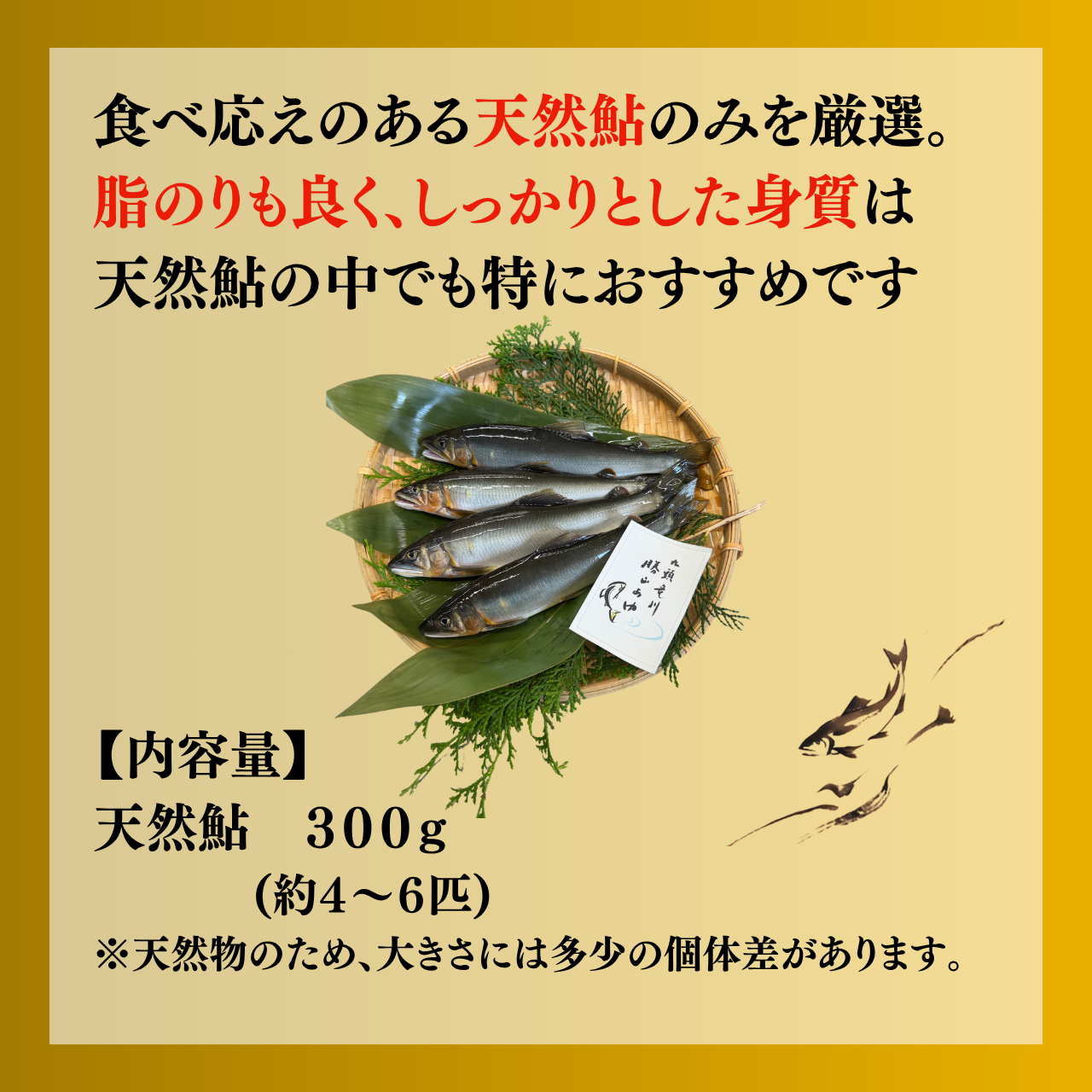 勝山市　九頭竜川産天然鮎　300ｇ（瞬間冷凍） 川魚 魚介 あゆ お取り寄せグルメ 塩焼き 鮎田楽 お中元 お歳暮[A-001011]