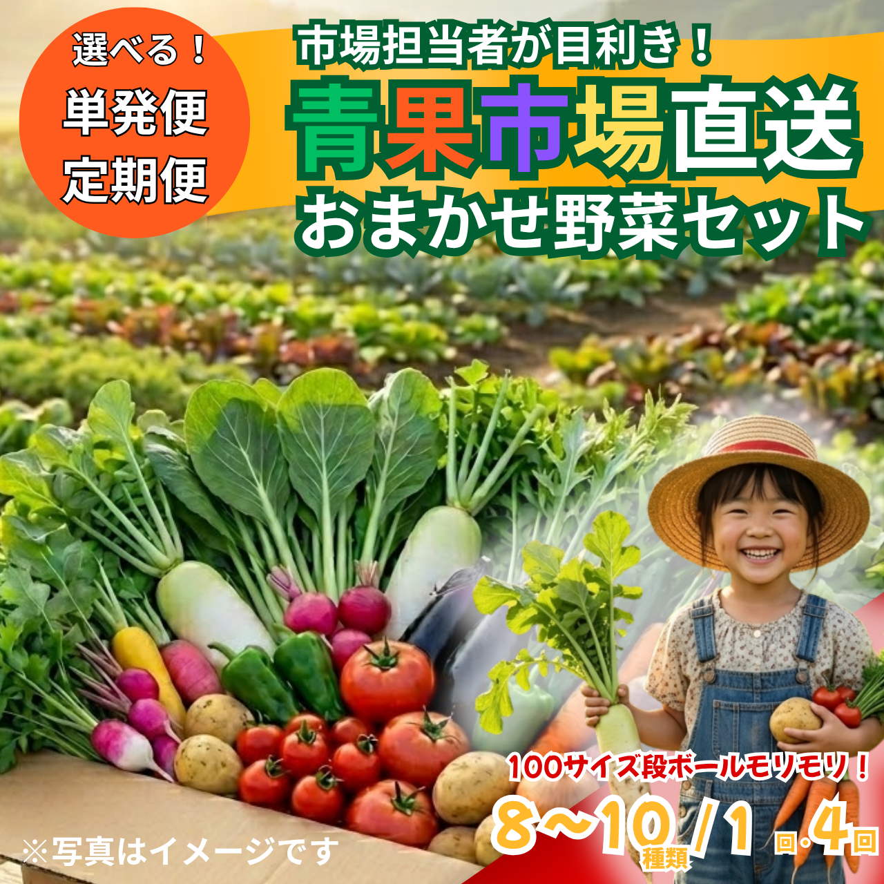【ふるさと納税】【市場直送】【選べる単発便・定期便】市場担当者が目利き!青果市場直送おまかせ旬の野菜セット