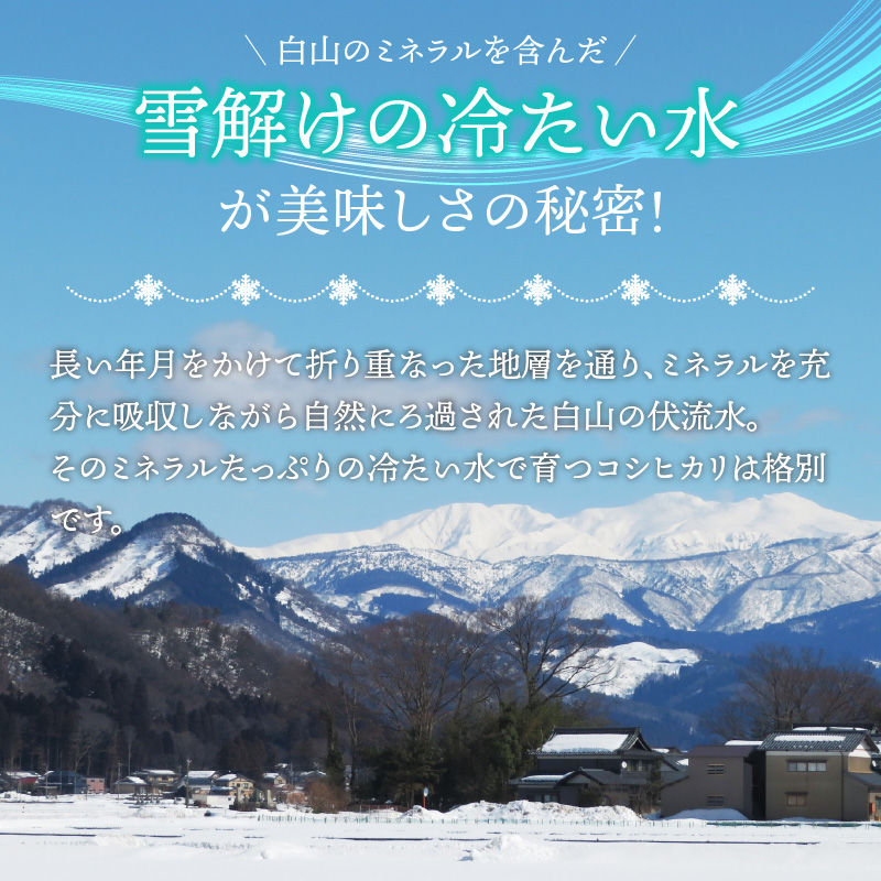 【先行予約】《定期便3回》家事をもっと楽に！ 令和8年産 新米コシヒカリ定期便（精米）10kg×3回（計30kg）※2026年10月上旬以降順次発送予定